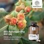 3x organiskā ashwagandha 500 mg