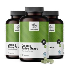 3x organická ječná tráva 1500 mg