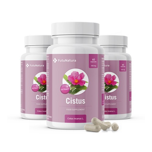 3x Cista Gris - extracto