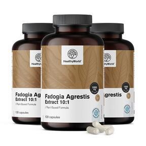 3x Fadogia Agrestis 1000 mg