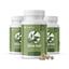 3x Olive leaves extract
