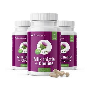 3x Milk thistle (silymarin) + choline