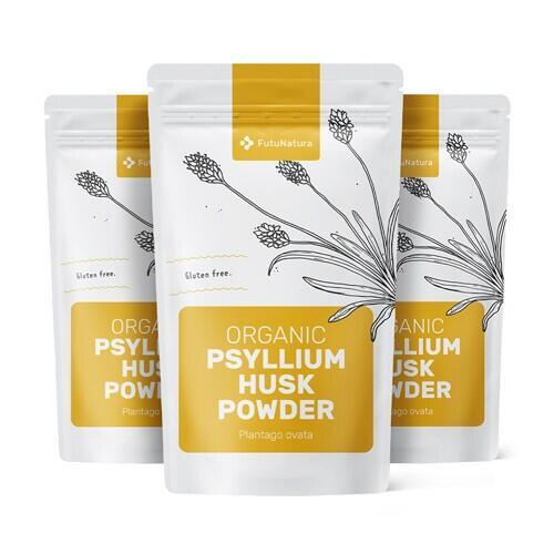 3x prášek z indického plantejnu (psyllium) v bio kvalitě