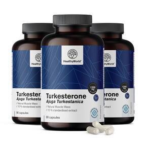 3x Turkesterone 1200 mg