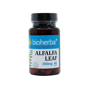 Alfalfa 200 mg