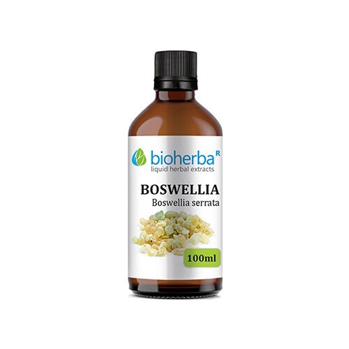 Boswellia - tinktuur