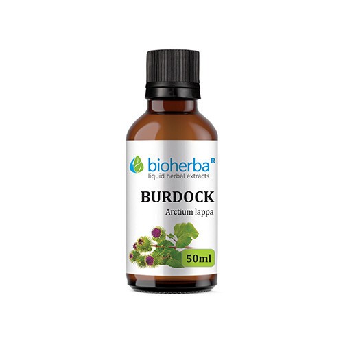 Burdock - tinktuur