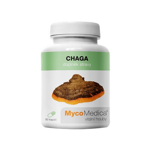 Chaga - grzyby