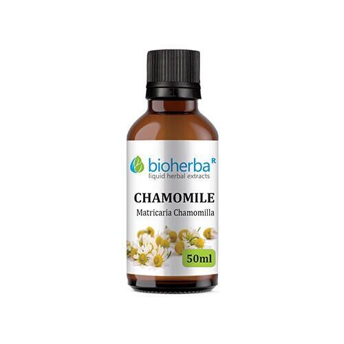 Chamomile - tincture