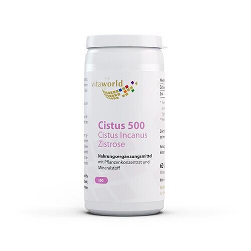 Cista