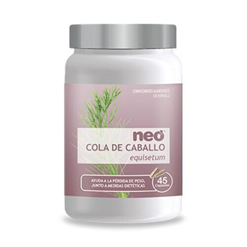 Cola de caballo
