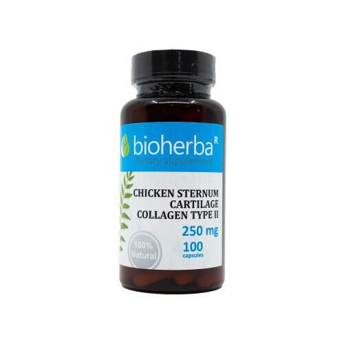 Collagène de type II 250 mg