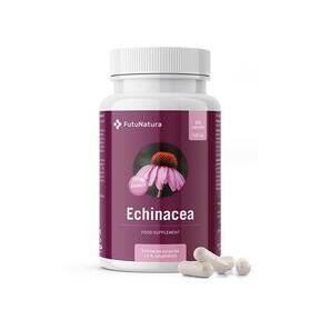 Echinacea - Auszug