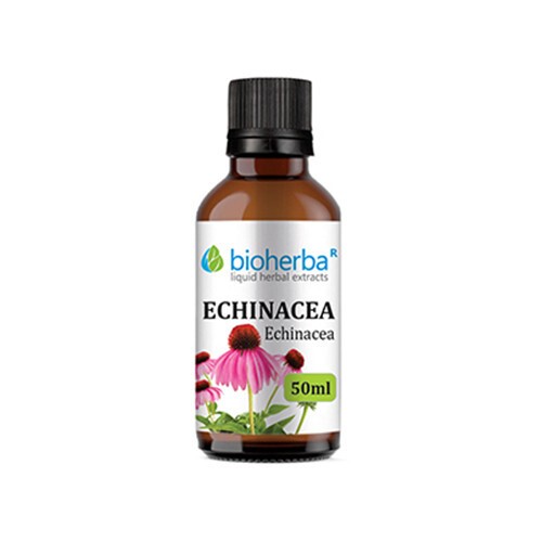 Echinacea - tinctuur