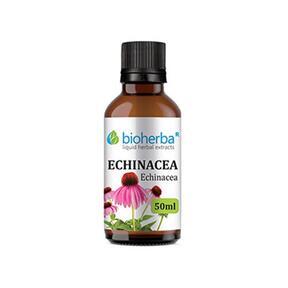 Echinacea - tincture