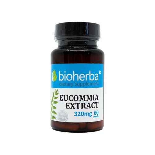 Eucommia kivonat 320 mg
