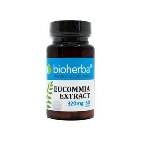 Extracto de eucommia 320 mg