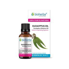 Essentiële olie van eucalyptus