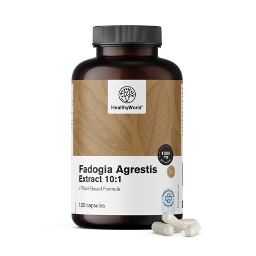 Fadogia Agrestis 1000 mg