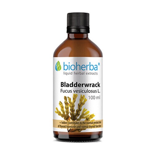Kelp algae - tincture