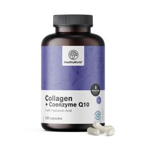 Collagène + Coenzyme Q10