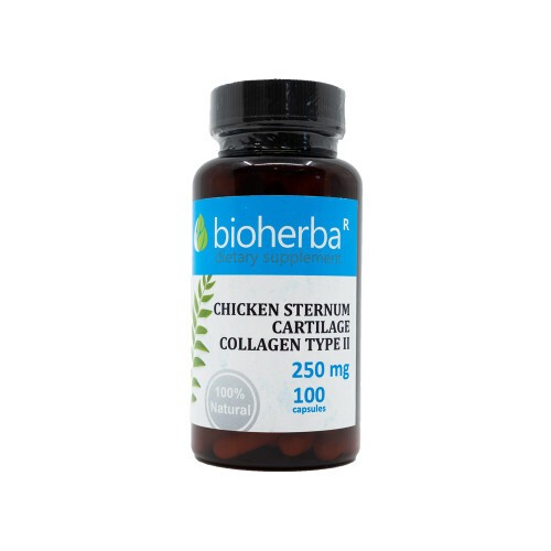 Collagen type II 250 mg