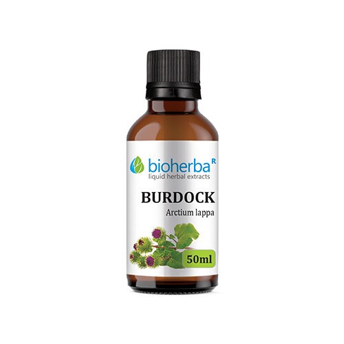 Burdock - tincture