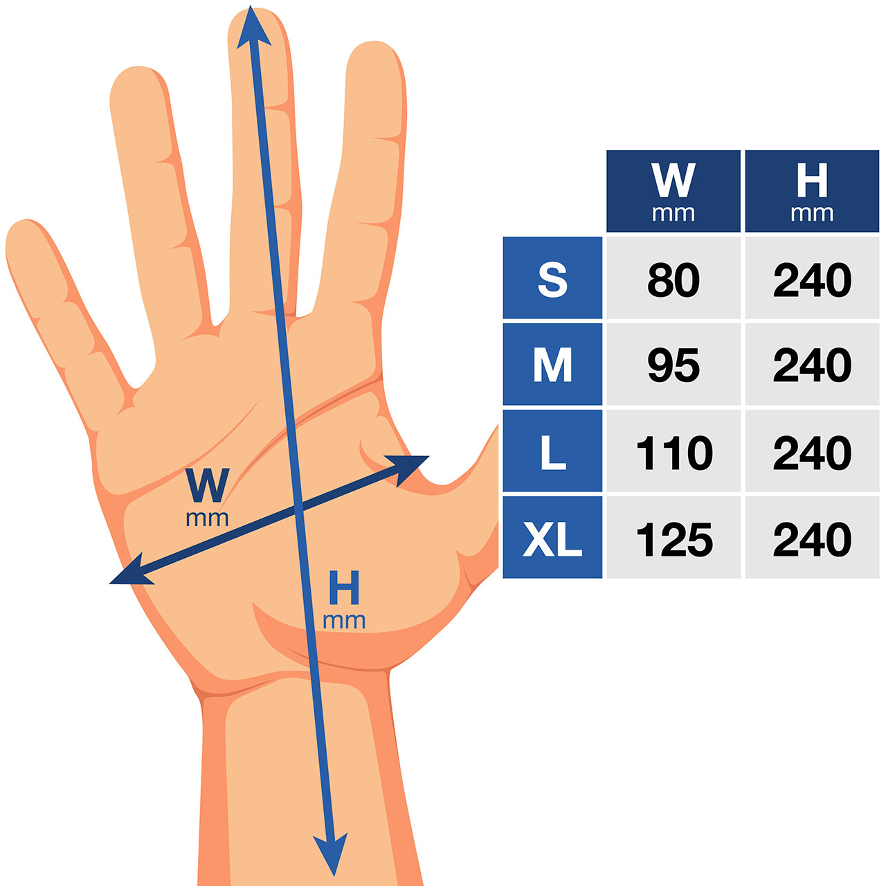 Nitrile examination gloves Mercator sizes