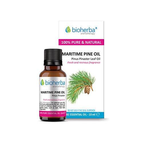 Olio essenziale di pino marittimo