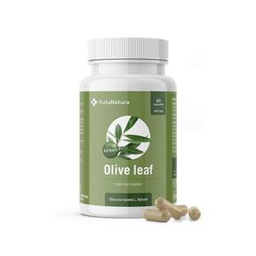 Olive leaves - extract