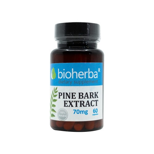 Pine Bark Extract