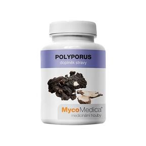 Polyporus - mushrooms