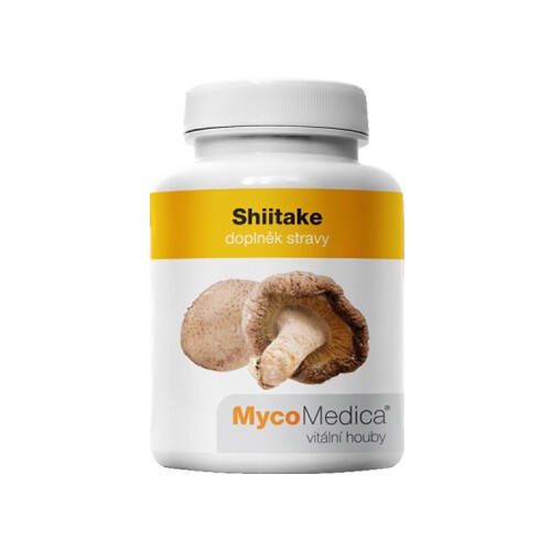 Shiitake (shiitake) - paddenstoelen