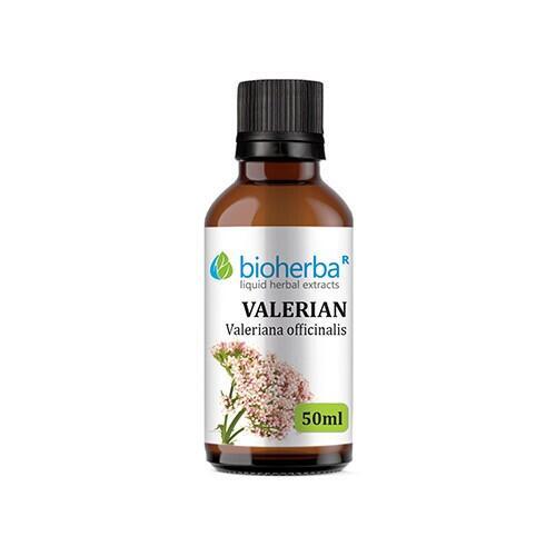 Valerian - tincture