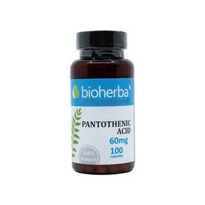Vitamín B5 (kyselina pantoténová) 60 mg